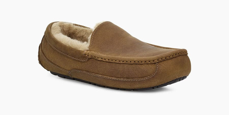 UGG Ascot Matte Leather slippers in brown with a soft leather upper, stitched detailing, and cozy shearling lining, angled front view.