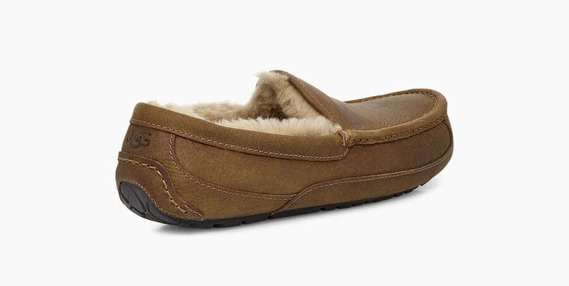 UGG Ascot Matte Leather slippers in chestnut brown with suede finish and plush wool lining, back side angle.