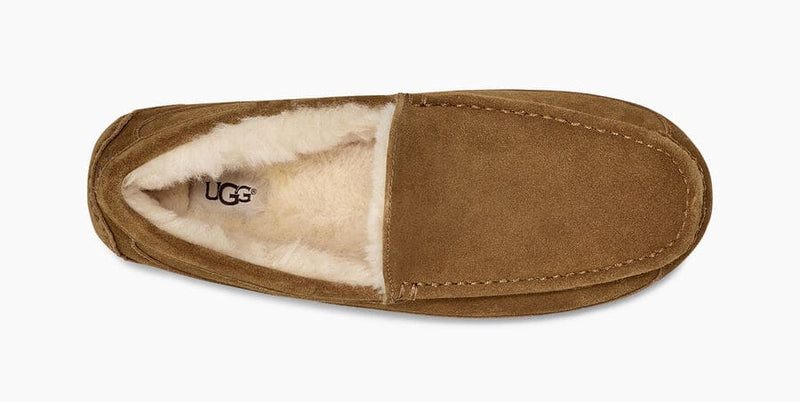 UGG Ascot Suede slippers in brown suede with plush wool lining, top view showing moc-toe stitching and soft interior.