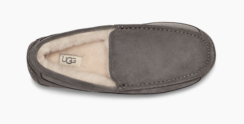 UGG Ascot Suede slippers in gray with plush shearling lining and moccasin-style design, top view.