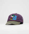 Butter Goods x Peanuts Music Cap in Washed Purple and Fern