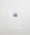 Carhartt Rising Helix T-Shirt in White
