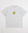 Gramicci Toad T-Shirt in Heather Ash