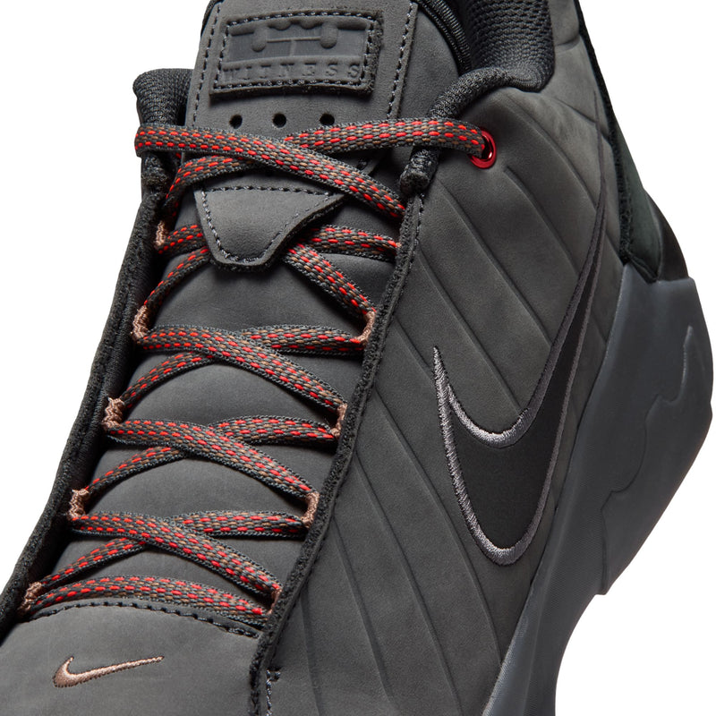 LeBron Witness IX