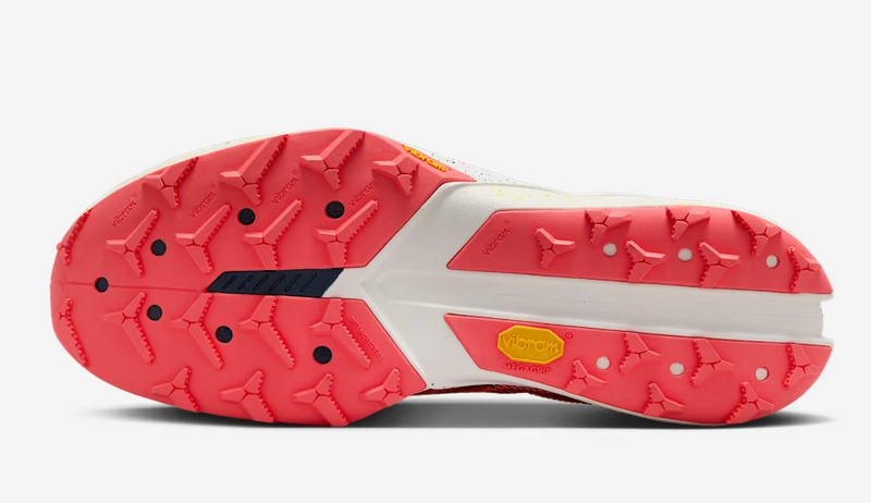 Men's Terra Kiger 10