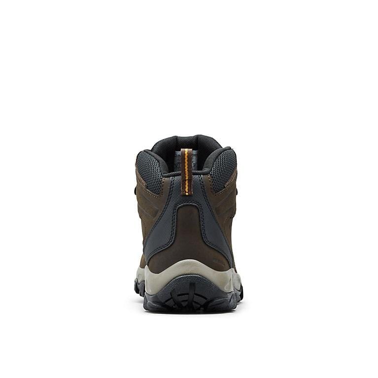Columbia Newton Ridge Plus II Waterproof hiking boots back view showing brown leather upper, padded collar, and durable outsole.
