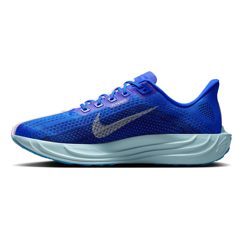 Nike Pegasus Plus CM