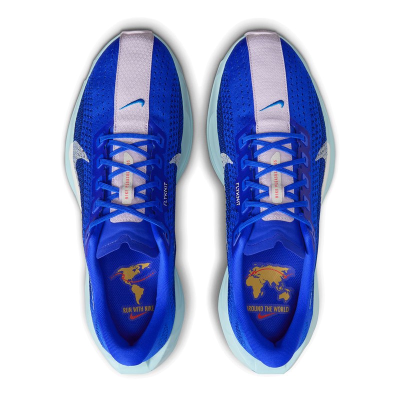 Nike Pegasus Plus CM