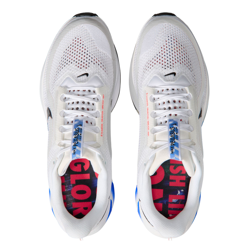 Nike Pegasus Premium CM