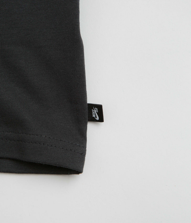 Nike SB Skate Char T-Shirt in Off Noir