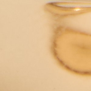 Occeane