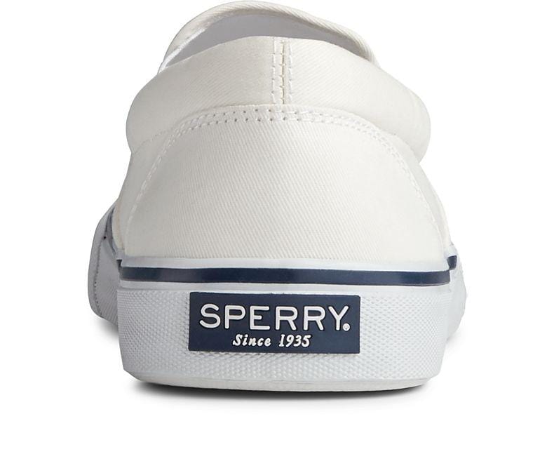 Sperry Striper II Slip On Sneakers in white canvas with navy logo detailing, back view showing heel design.