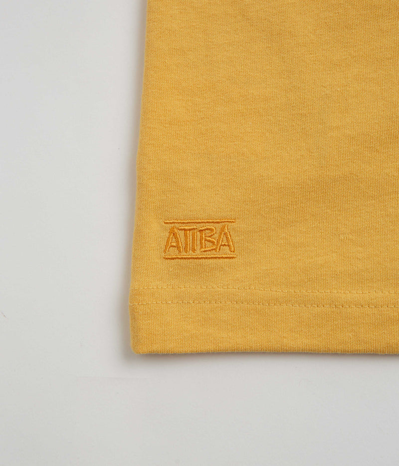 Vans Skate Atiba Haze Hug T-Shirt in Spicy Mustard