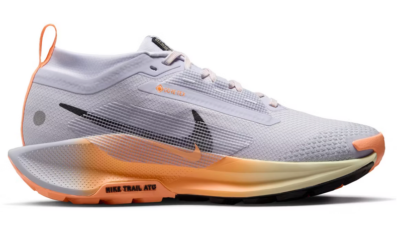 Women's Pegasus Trail 5 GTX (CLEARANCE)